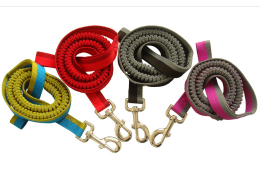 color dog leash