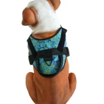 dog harness