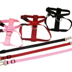 dog leash supplier
